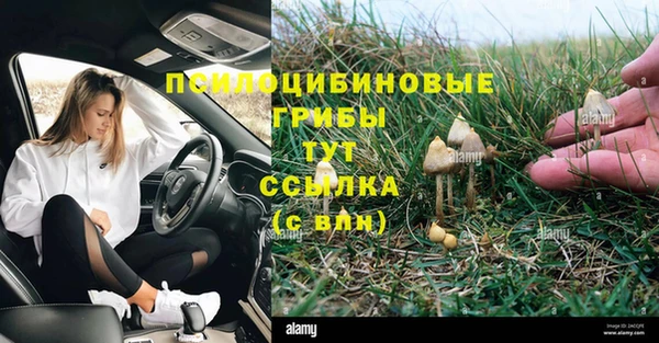 MDMA Белоозёрский