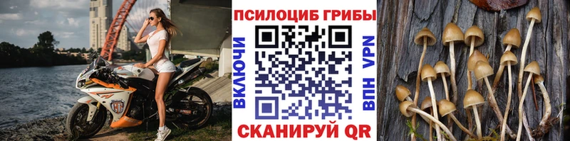 Псилоцибиновые грибы Magic Shrooms  продажа наркотиков  Кувандык 